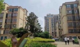 盐城最新爆料,揭秘城市变迁背后的故事